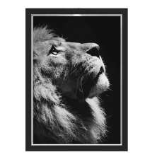 Quadro Caixa  33x43 cm (Com Led) Lojaria e Nerderia. leao olhar preto