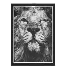 Quadro Caixa  33x43 cm (Com Led) Lojaria e Nerderia. leao olho preto