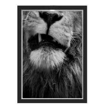 Quadro Caixa  33x43 cm (Com Led) Lojaria e Nerderia. leao preto