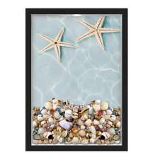 Quadro Caixa Porta Conchas Praia Estrelas
