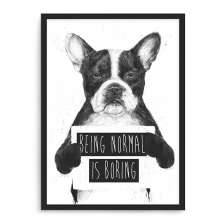 Quadro Decorativo 33x43cm Nerderia e Lojaria bulldog boring preto