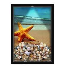 Quadro Decorativo Porta Conchas Nerderia - Iluminação Led