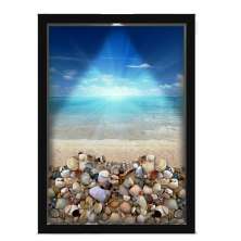 Quadro Decorativo Porta Conchas Nerderia - Iluminação Led