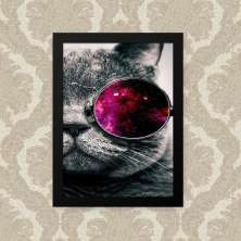 Quadro Gato Oculos 23X33