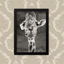 Quadro Girafa Lingua 33X43cm