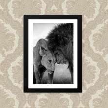 Quadro Leao Carinho 33X43cm