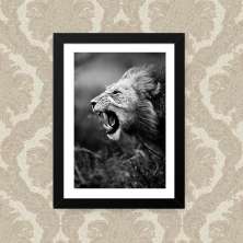 Quadro Leao Feroz 33X43cm