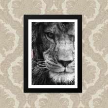 Quadro Leao Foco 23X33cm