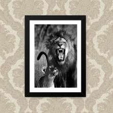 Quadro Leao Leoa 33X43cm