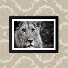 Quadro Lio Black White 23X33cm