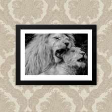 Quadro Love Lion 33X43cm