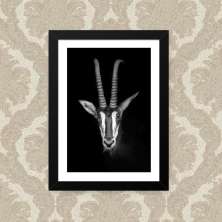 Quadro P&amp;Amp;B Animal 33X43cm