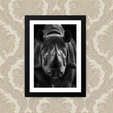 Quadro Rhino 33X43cm
