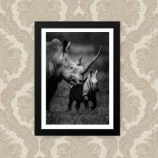 Quadro Rhino Family 23X33cm