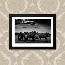Quadro Rhinos 33X43cm