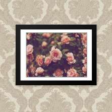 Quadro Rosas 33X43cm
