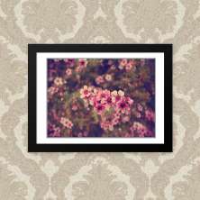 Quadro Rosas Floral 33X43cm