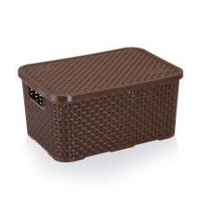 Cesto Organizador C/Tampa Rattan Color Pequeno