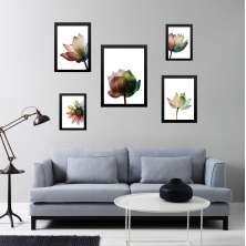 Kit 5 Quadros Flores Claras Modernas