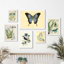 Kit 6 Quadros Botânica - Animais E Plantas Azul - com vidro