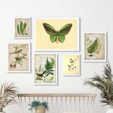 Kit 6 Quadros Botânica - Animais E Plantas Verdes