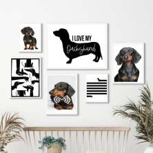 Kit 6 Quadros Cachorro Dachshund - Salsicha - com vidro