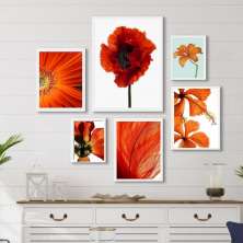 Kit 6 Quadros Decorativos Alaranjados- Flores - com vidro
