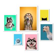Kit 6 Quadros Decorativos Cães E Gatos