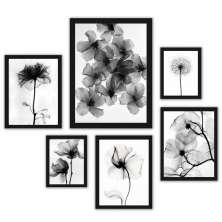 Kit 6 Quadros Flores Transparentes Preto E Branco - com vidro