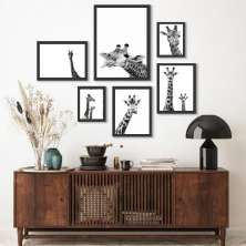 Kit 6 Quadros Fotografias Girafas