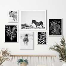 Kit 6 Quadros Fotografias Zebras- Preto e Marrom
