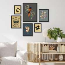 Kit 6 Quadros Passarinhos E Borboletas Vintage - com vidro