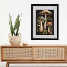 Quadro Cogumelos Vintage - 60x48cm