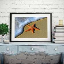 Quadro Estrela do Mar na Praia - 60x48cm