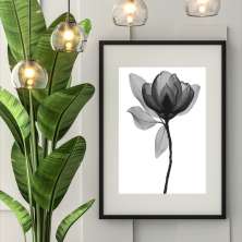 Quadro Minimalista Flor Transparente P&amp;B - 60x48cm