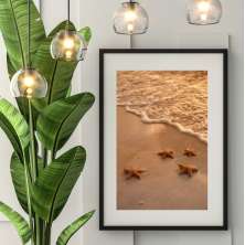 Quadro Praia Bronze - 60x48cm