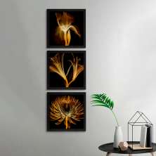 Conjunto com 3 Quadros Decorativos Raio-X Flores Preto 20 cm