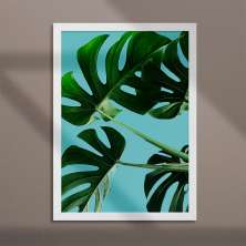 Quadro Decorativo com Moldura Costela-de-Adão Branco