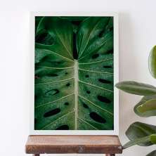 Quadro Decorativo com Moldura Folhas Adão Branco