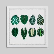 Quadro Decorativo com Moldura Folhas Botânicas Branco