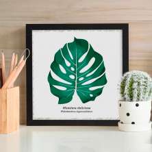 Quadro Decorativo com Moldura Monstera Botânicas Preto