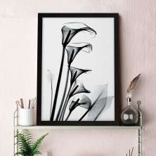 Quadro Decorativo com Moldura Raio-X Preto