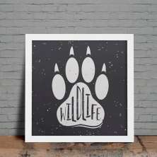 Quadro Decorativo com Moldura Wildlife Branco