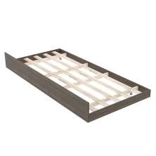 Cama Auxiliar Solteiro CM8008 Nogal - Tecno Mobili