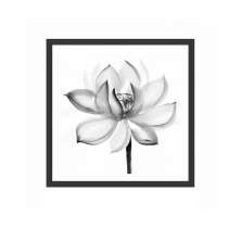 Quadro Decorativo com Moldura Amar Preto