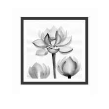 Quadro Decorativo com Moldura Floral I Preto 50x50 cm