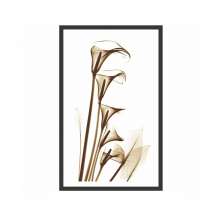 Quadro Decorativo com Moldura Floral III Preto 80x50 cm