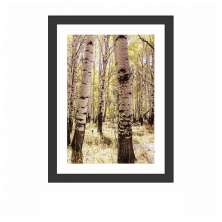Quadro Decorativo com Moldura Floresta II Preto