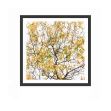 Quadro Decorativo com Moldura Natur I Preto