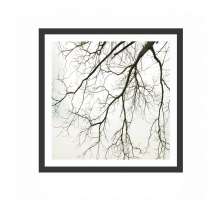 Quadro Decorativo com Moldura Natur II Preto